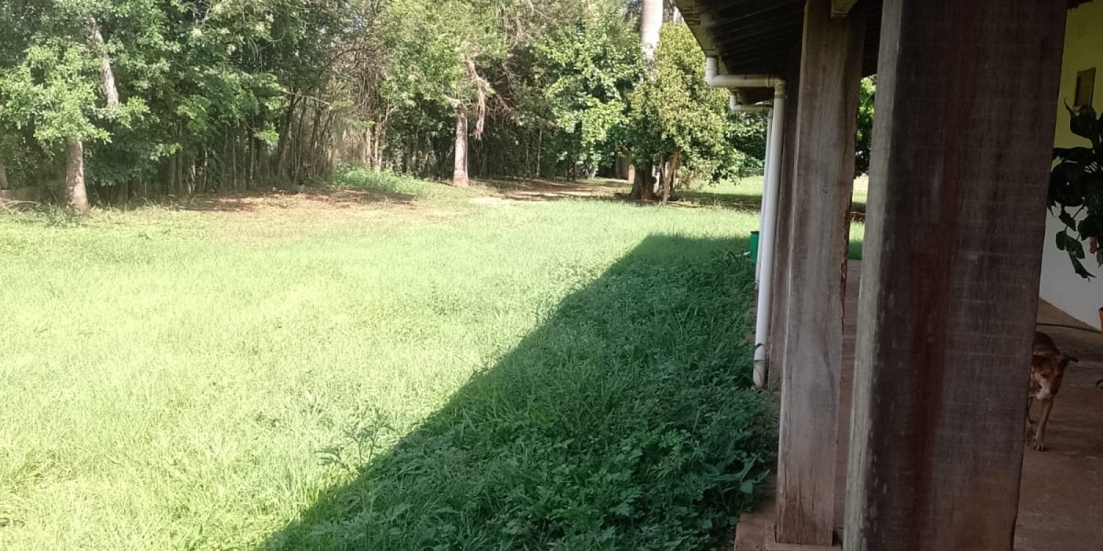Chácara a venda próximo do bairro Campestre