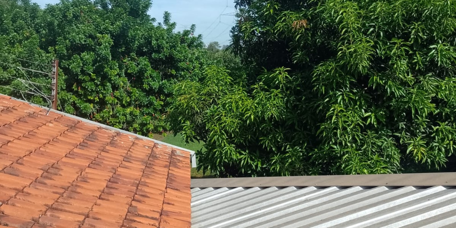 Chácara a venda próximo do bairro Campestre