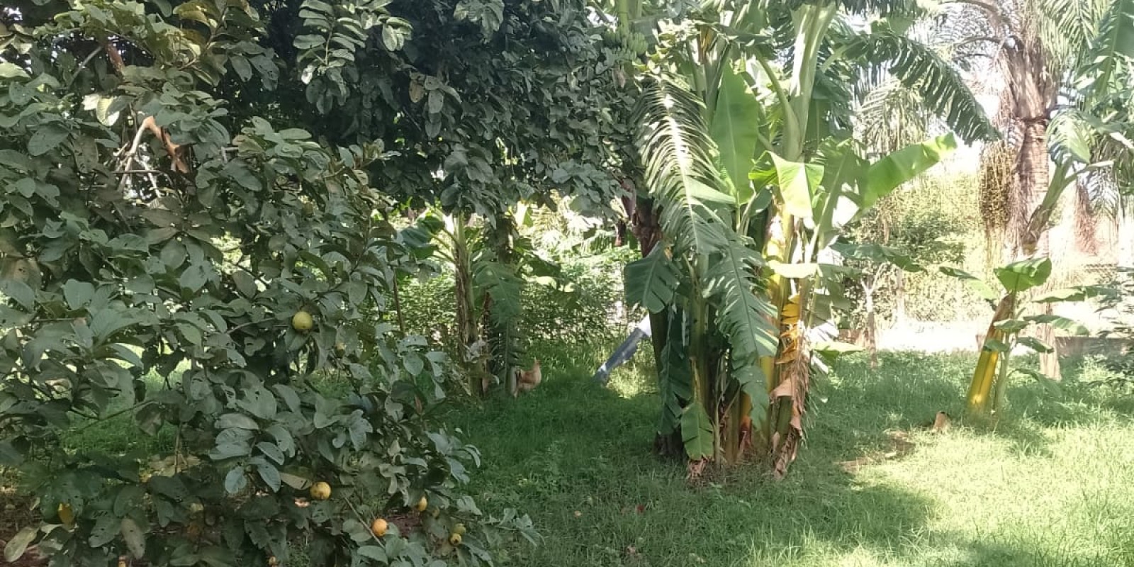Chácara a venda próximo do bairro Campestre